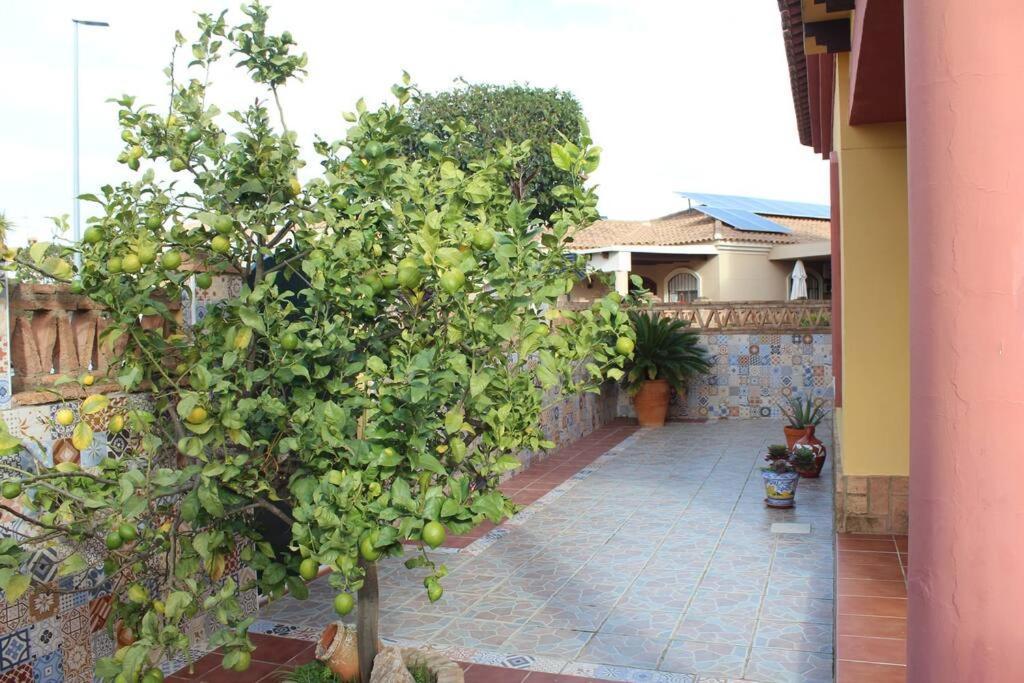 Casa 4 Dormitorios En อายามอนเต ภายนอก รูปภาพ