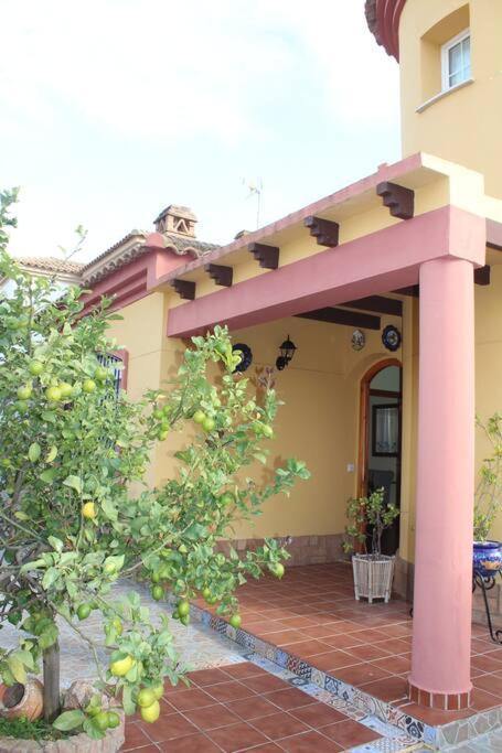 Casa 4 Dormitorios En อายามอนเต ภายนอก รูปภาพ