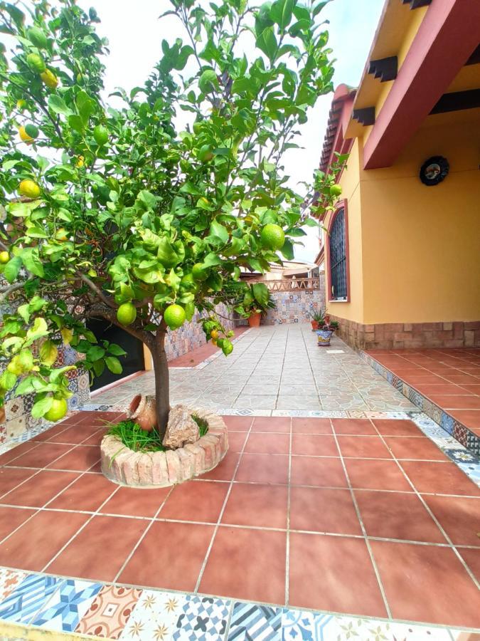 Casa 4 Dormitorios En อายามอนเต ภายนอก รูปภาพ